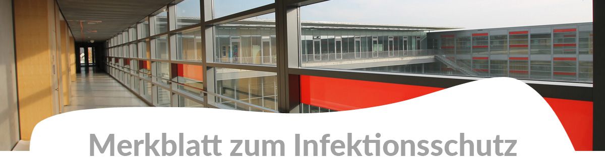 schule